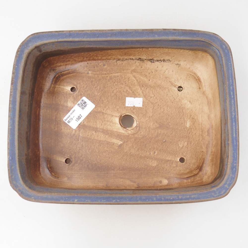 Bol à bonsaï en céramique 25 x 20 x 7 cm, couleur bleu