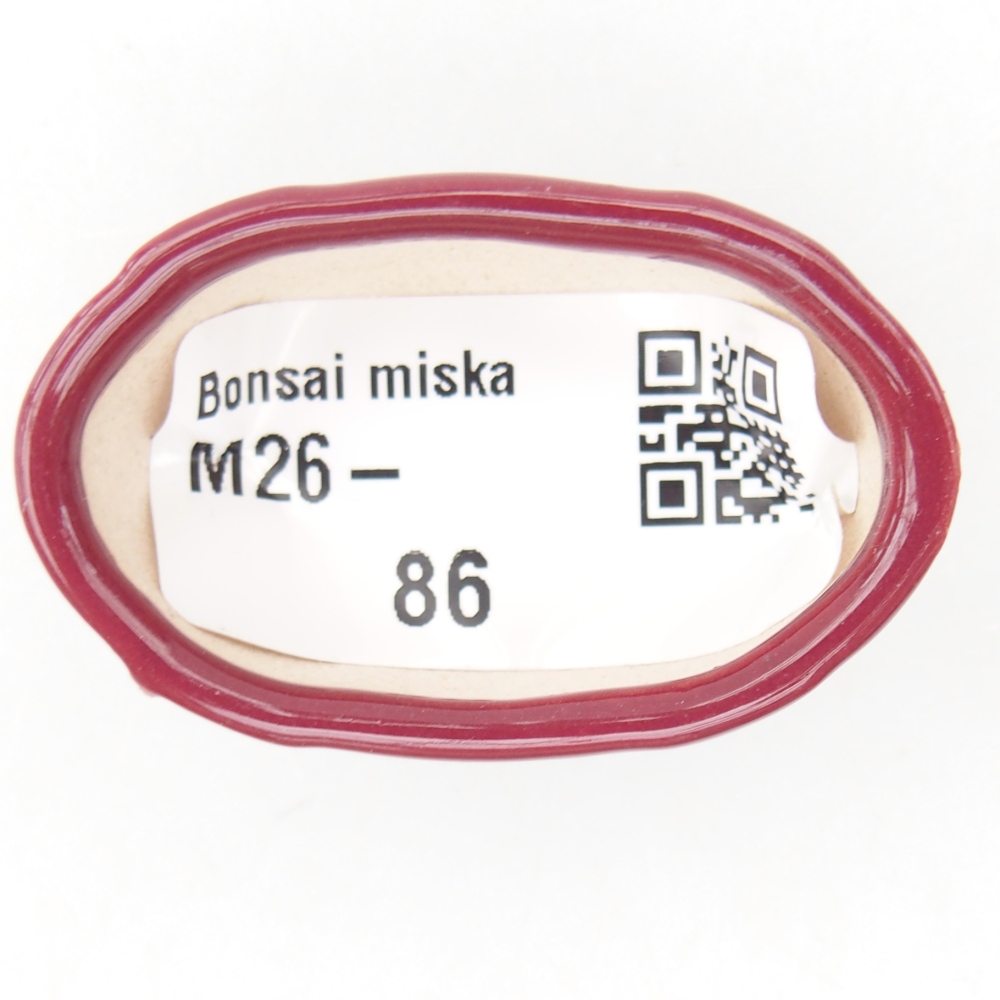 Mini bol bonsaï 4,5 x 2,5 x 2 cm, couleur bordeaux