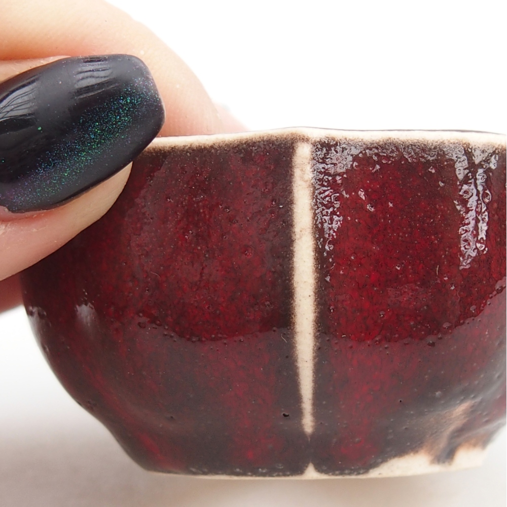 Mini bol bonsaï 6 x 6 x 3 cm, couleur rouge