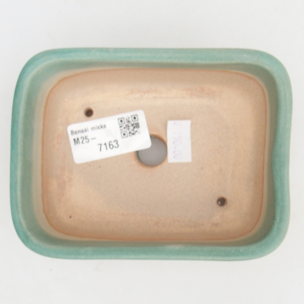 Bol à bonsaï en céramique 12,5 x 10 x 5 cm, vert