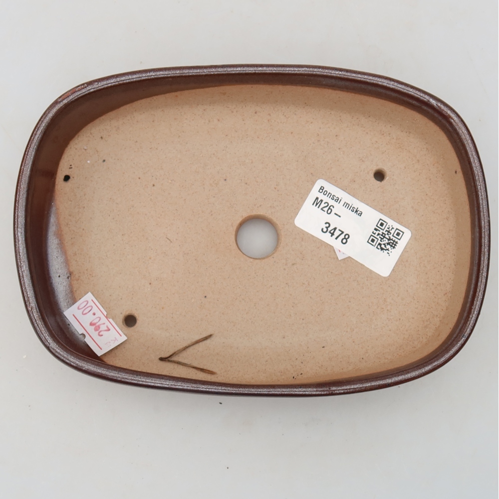Pot à bonsaï en céramique 16 x 11 x 3,5 cm, couleur marron