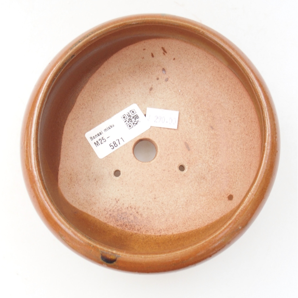 Bol à bonsaï en céramique 22 x 17 x 5 cm, vert