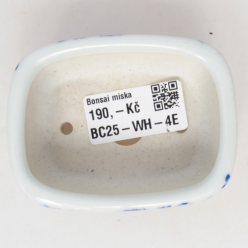 Mini bol bonsaï 8 x 6 x 3 cm, blanc