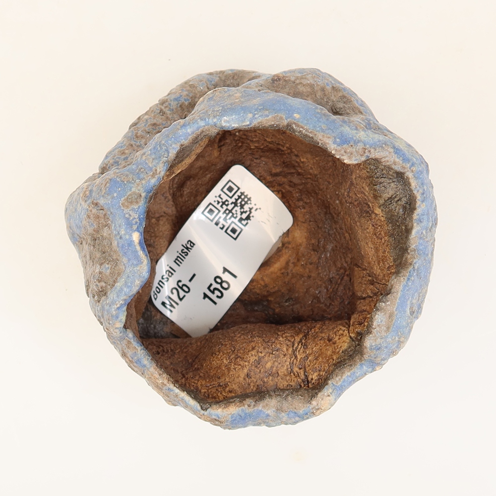 Coquille en céramique  6 x 5,5 x 6 cm , couleur bleue