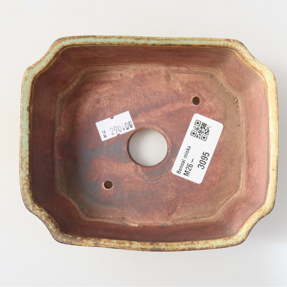 Pot à bonsaï en céramique 14 x 11,5 x 4,5 cm, couleur verte
