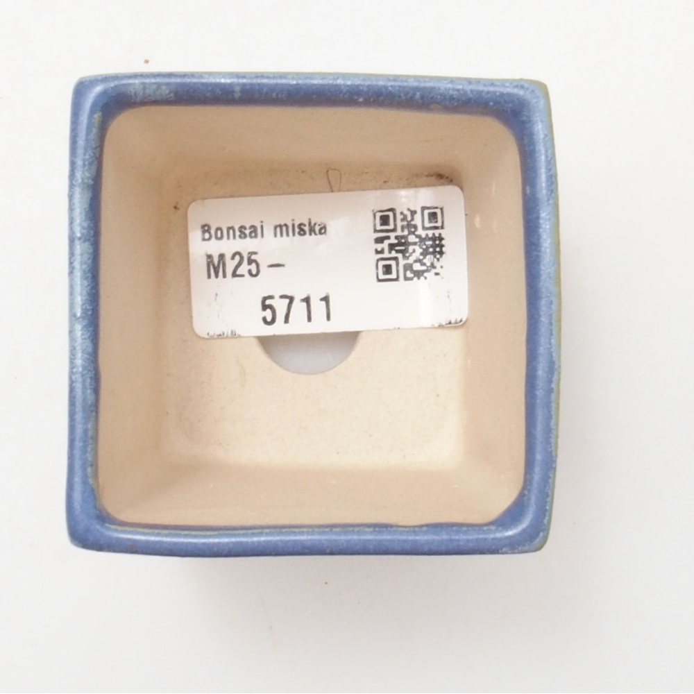 Mini bol bonsaï 5,5 x 5,5 x 6,5 cm, couleur bleu
