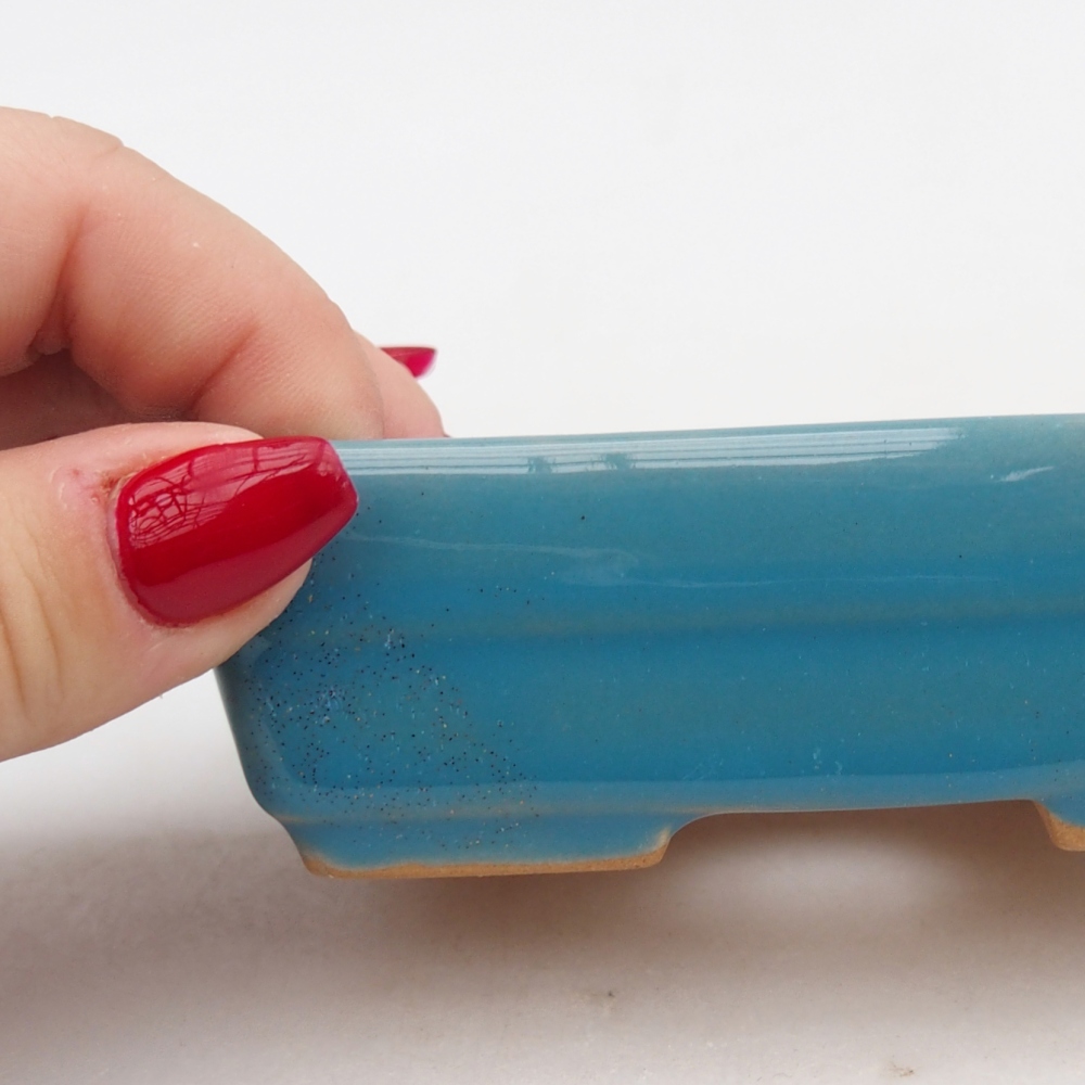 Bol à bonsaï en céramique 10 x 7 x 3 cm, couleur bleu