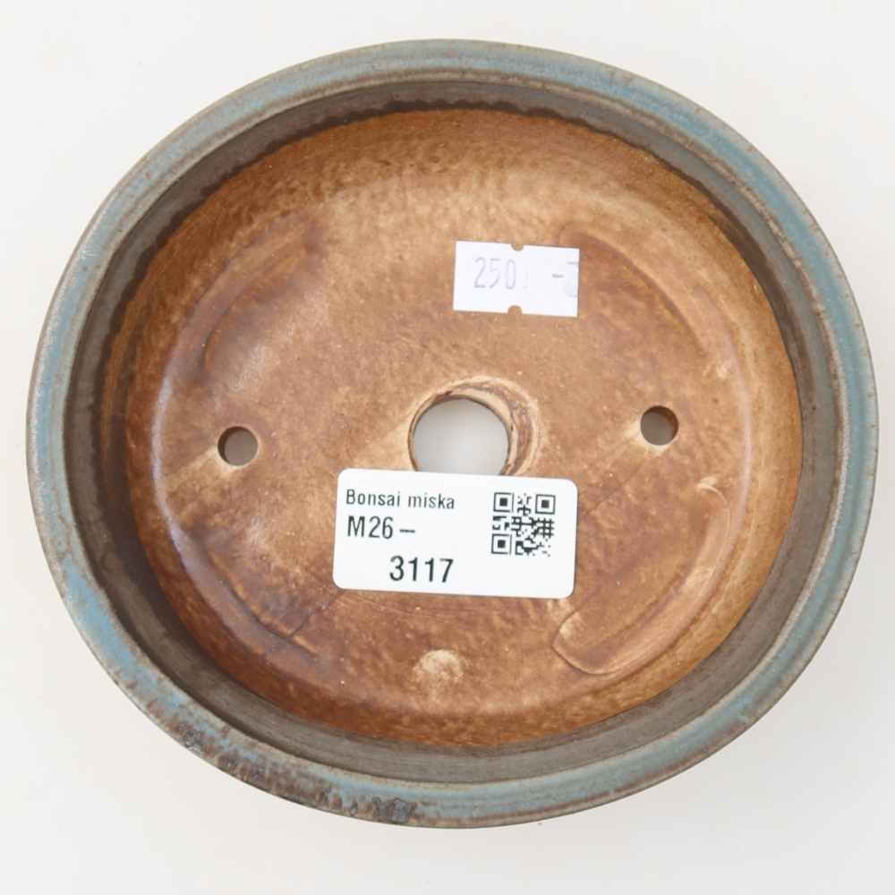Pot à bonsaï en céramique 12,5 x 11,5 x 3,5 cm, couleur bleue