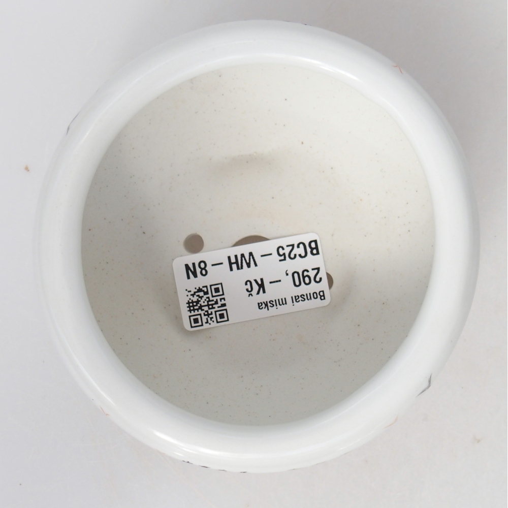 Bol à bonsaï en céramique 10 x 10 x 5 cm, couleur blanc