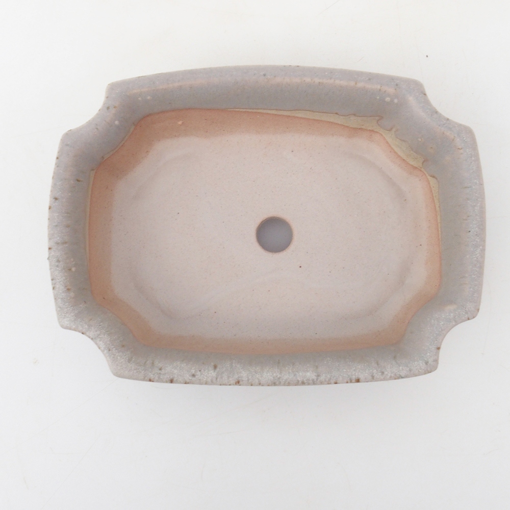 Coupe bonsaï H03 - 16,5 x 12 x 4,5 cm - beige