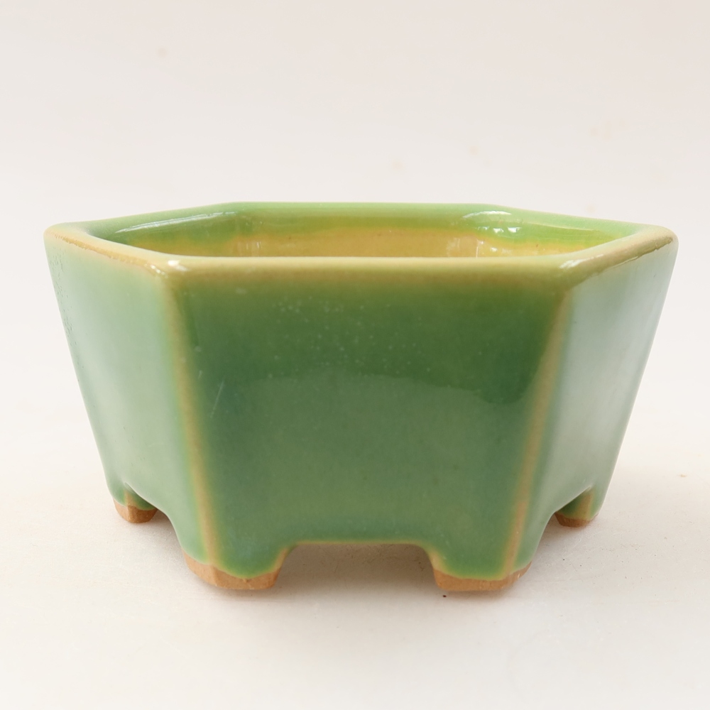 Bol à bonsaï en céramique 10 x 9 x 5 cm, vert