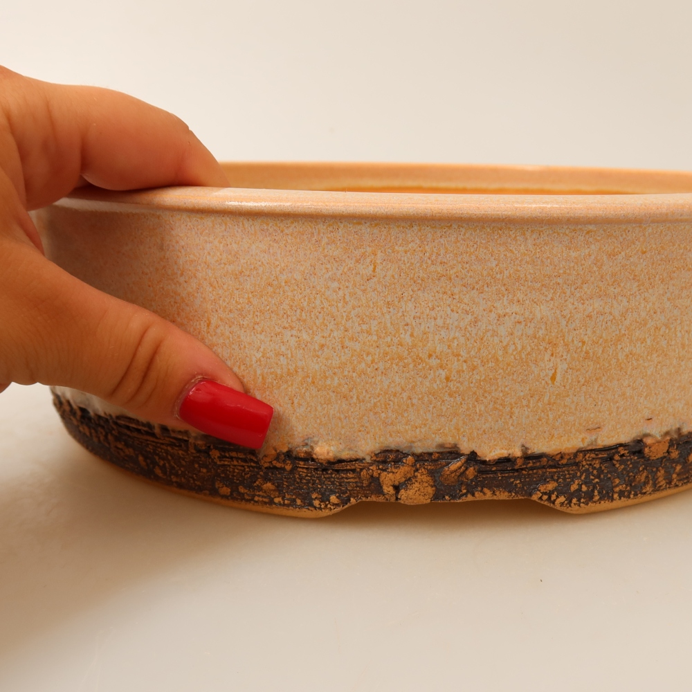 Bol à bonsaï en céramique 24,5 x 24,5 x 7 cm, couleur beige