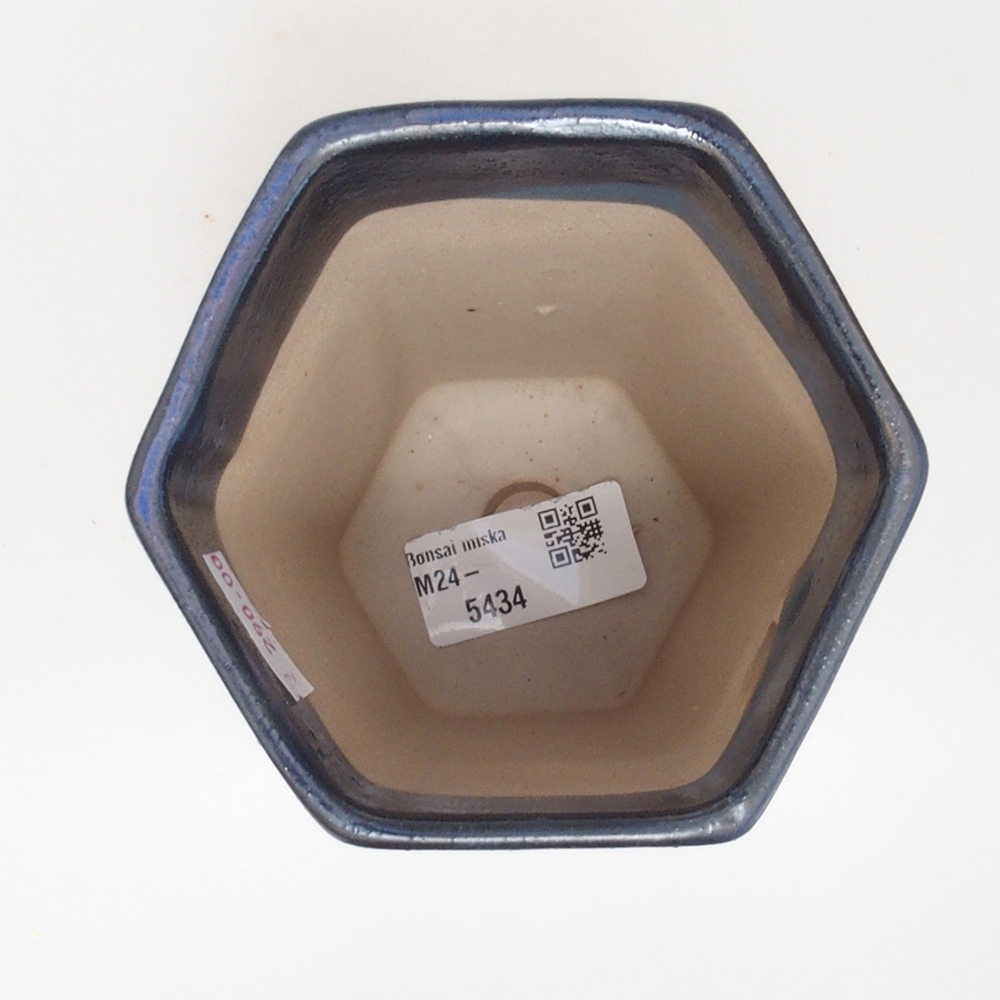 Bol à bonsaï en céramique 9,5 x 8,5 x 14,5 cm, couleur bleu