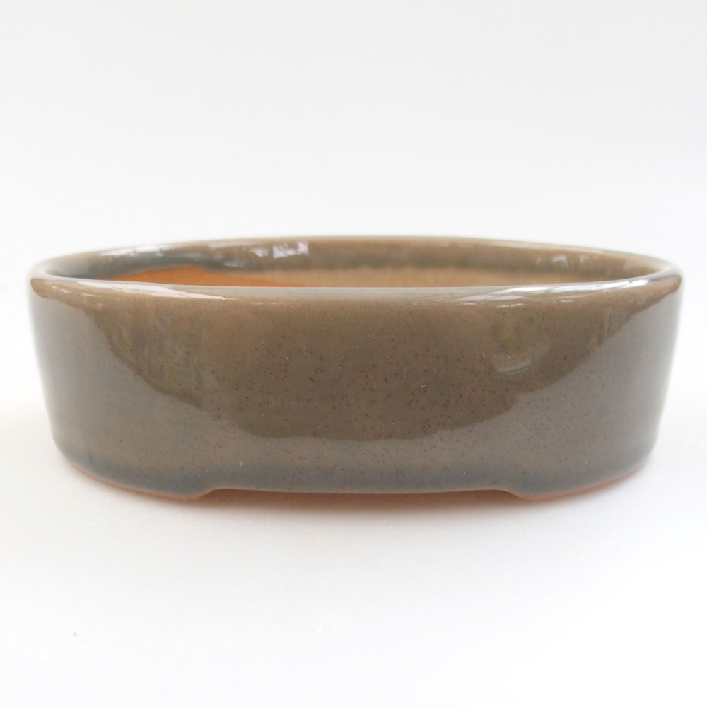 Bol à bonsaï en céramique 22 x 17 x 5 cm, vert