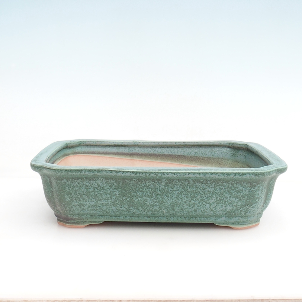 Bol à bonsaï H07 - 30 x 20,5 x 8 cm.