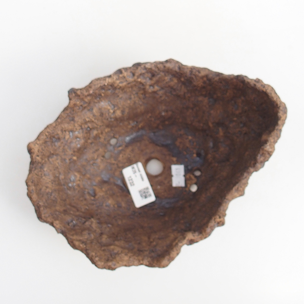 Coquille en céramique 19 x 15 x 14 cm , couleur marron