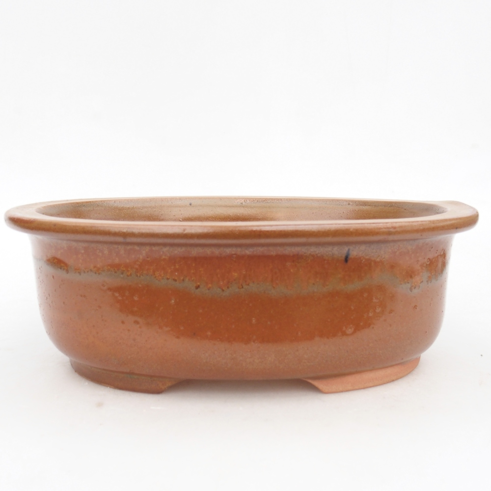 Bol à bonsaï en céramique 23 x 19 x 7 cm, brun