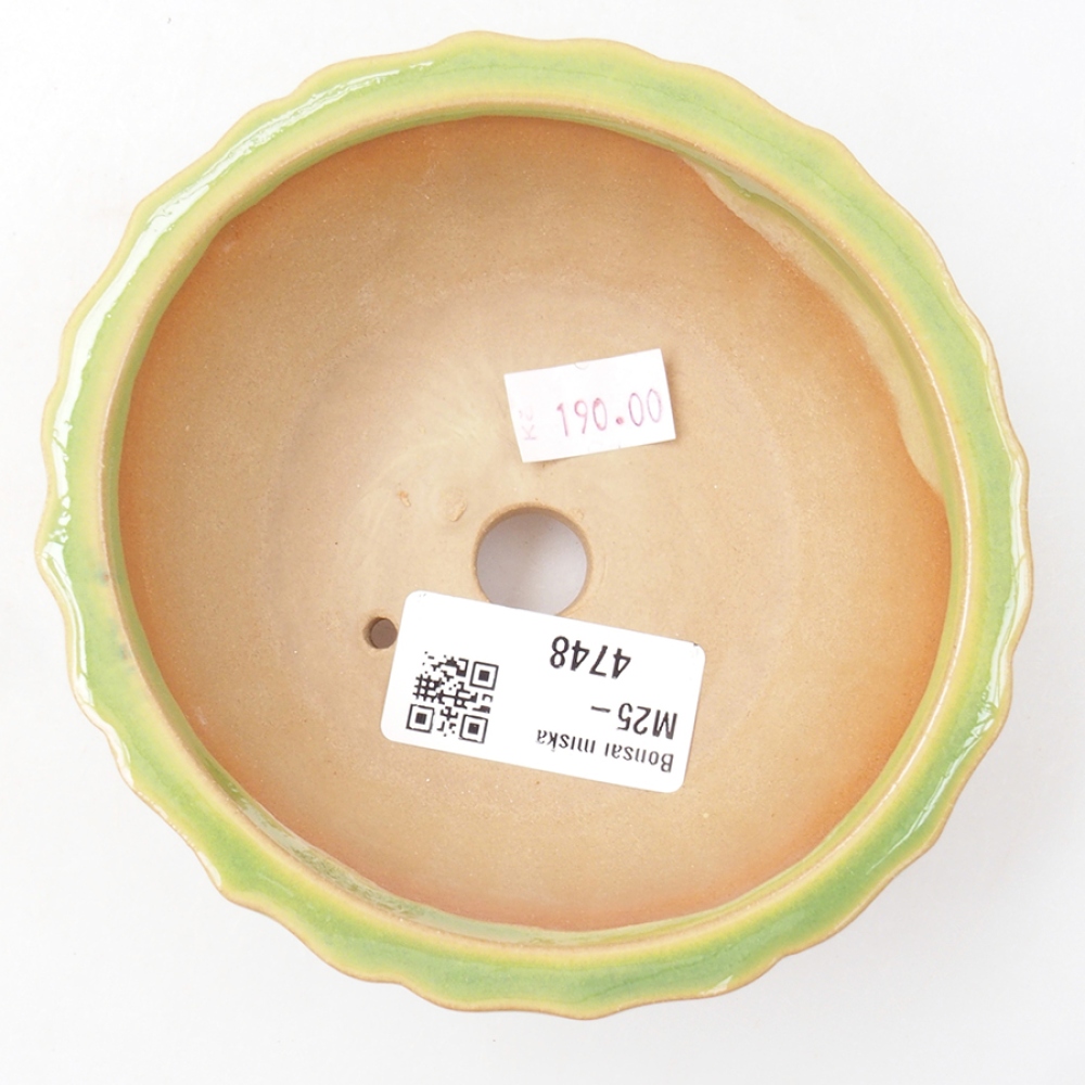 Bol à bonsaï en céramique 11 x 11 x 5 cm, vert