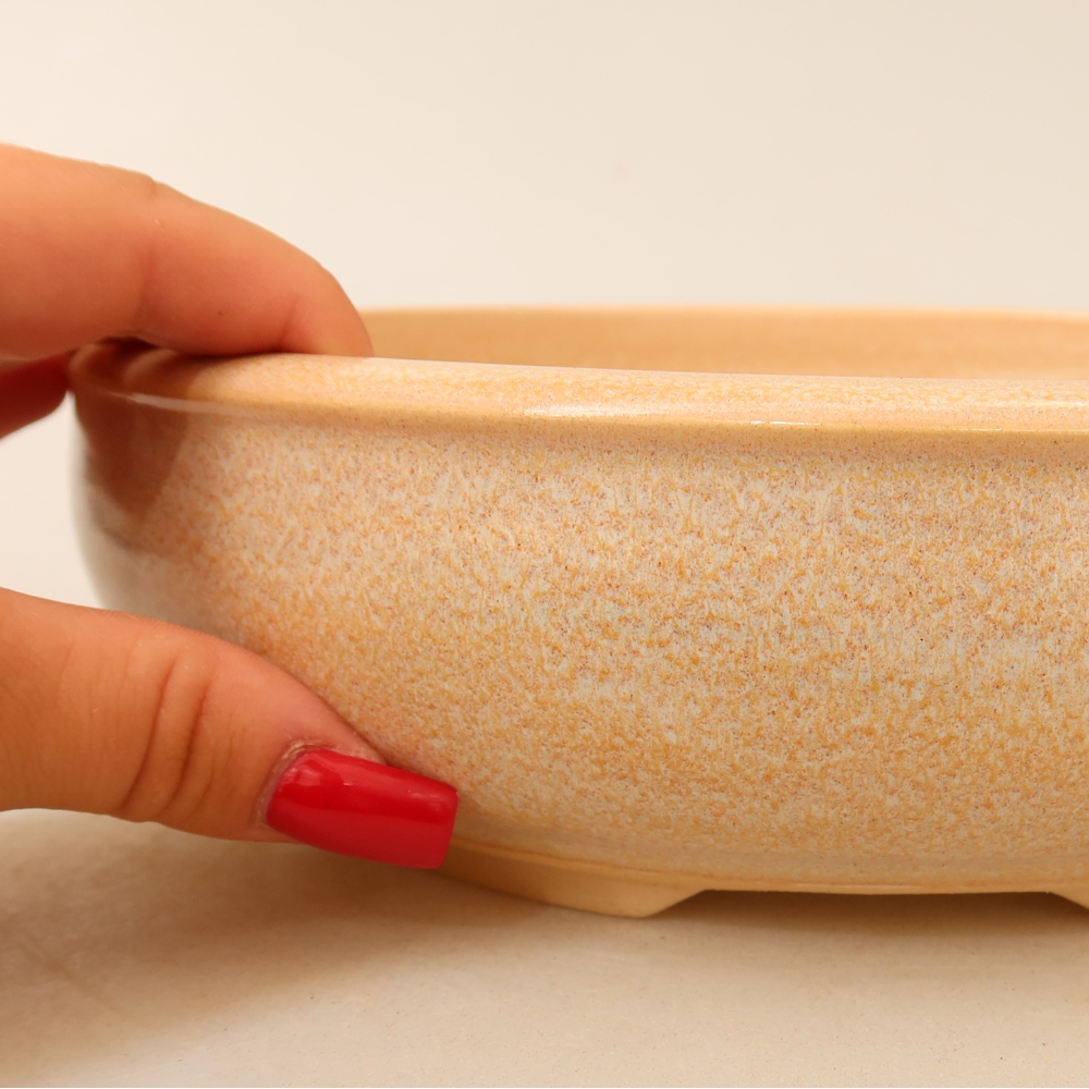 Pot à bonsaï en céramique 22,5 x 22,5 x 6,5 cm, couleur beige