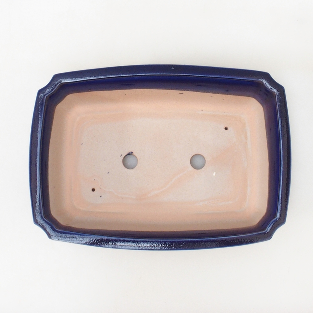 Bol à bonsaï H07 - 30 x 20,5 x 8 cm - bleu