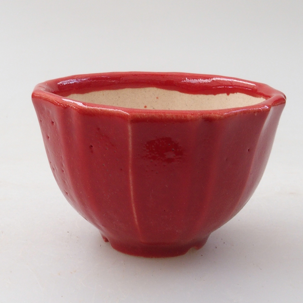 Mini bol bonsaï 5 x 5 x 3 cm, couleur rouge