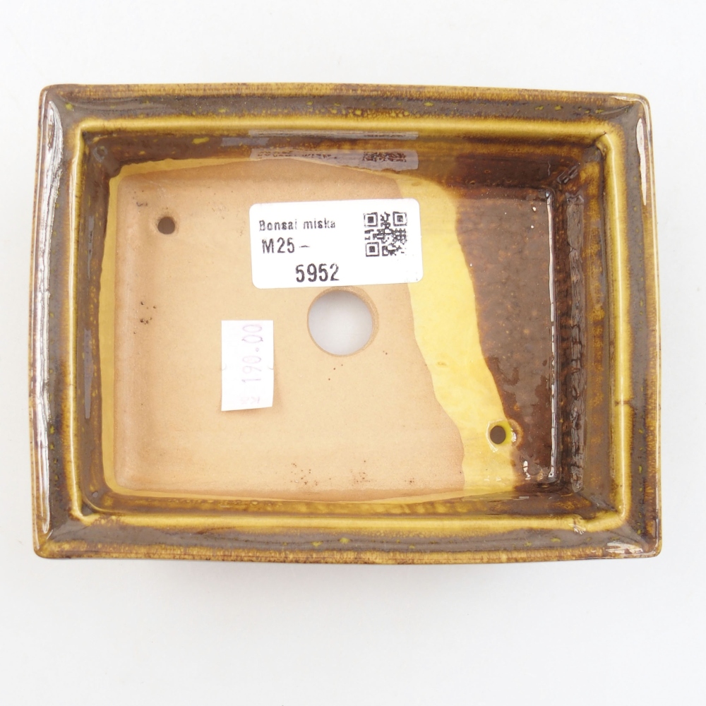 Bol à bonsaï en céramique 22 x 17 x 5 cm, vert