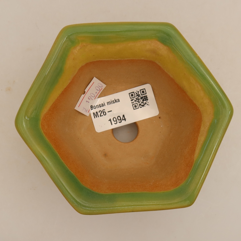 Pot à bonsaï en céramique 10,5 x 9,5 x 5,5 cm, couleur verte
