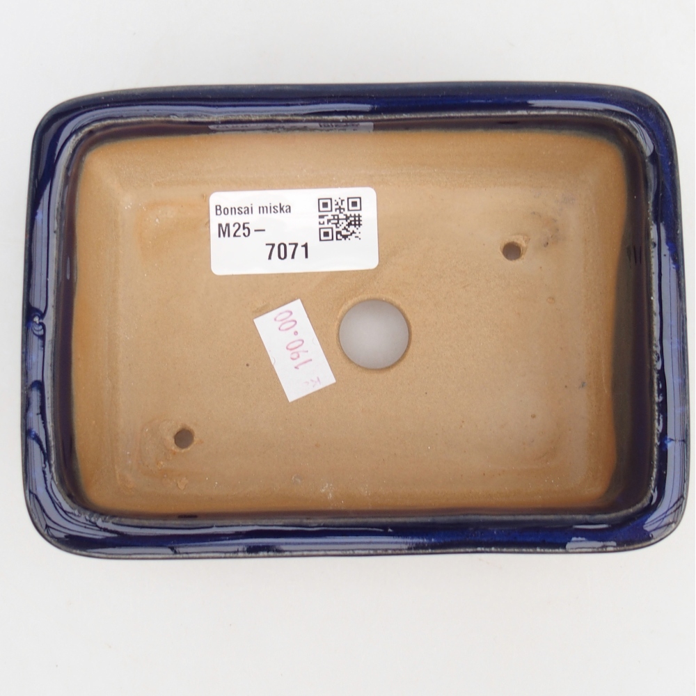 Bol à bonsaï en céramique 13,5 x 10 x 4,5 cm, couleur bleu