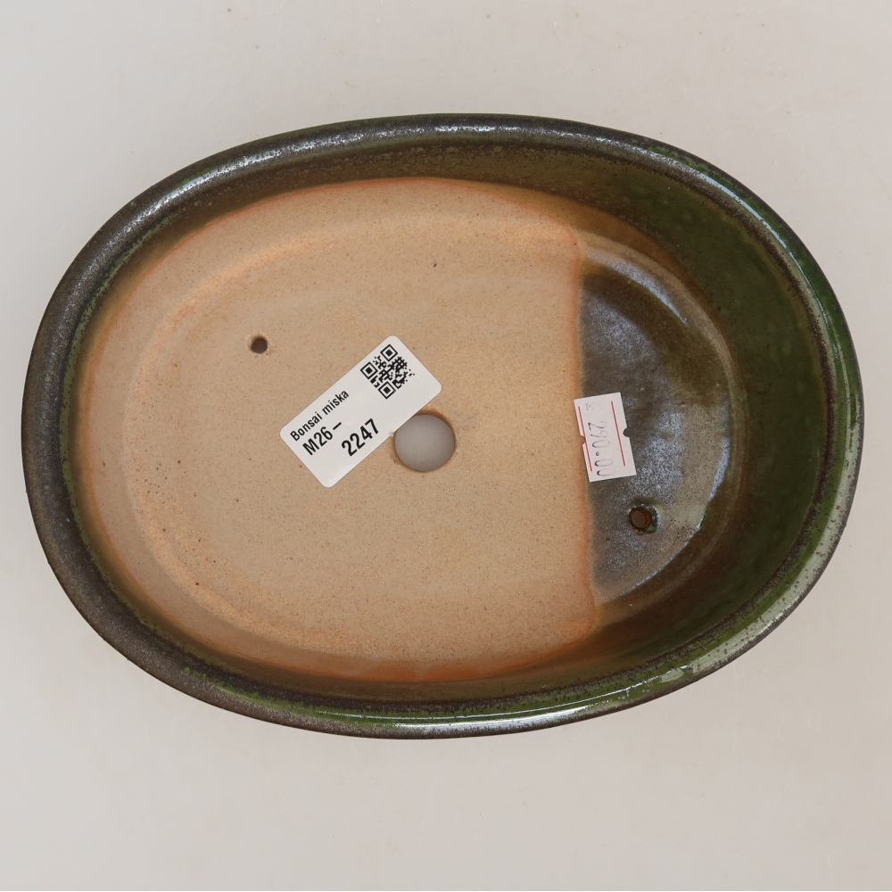 Pot à bonsaï en céramique 19 x 14,5 x 5 cm, couleur verte