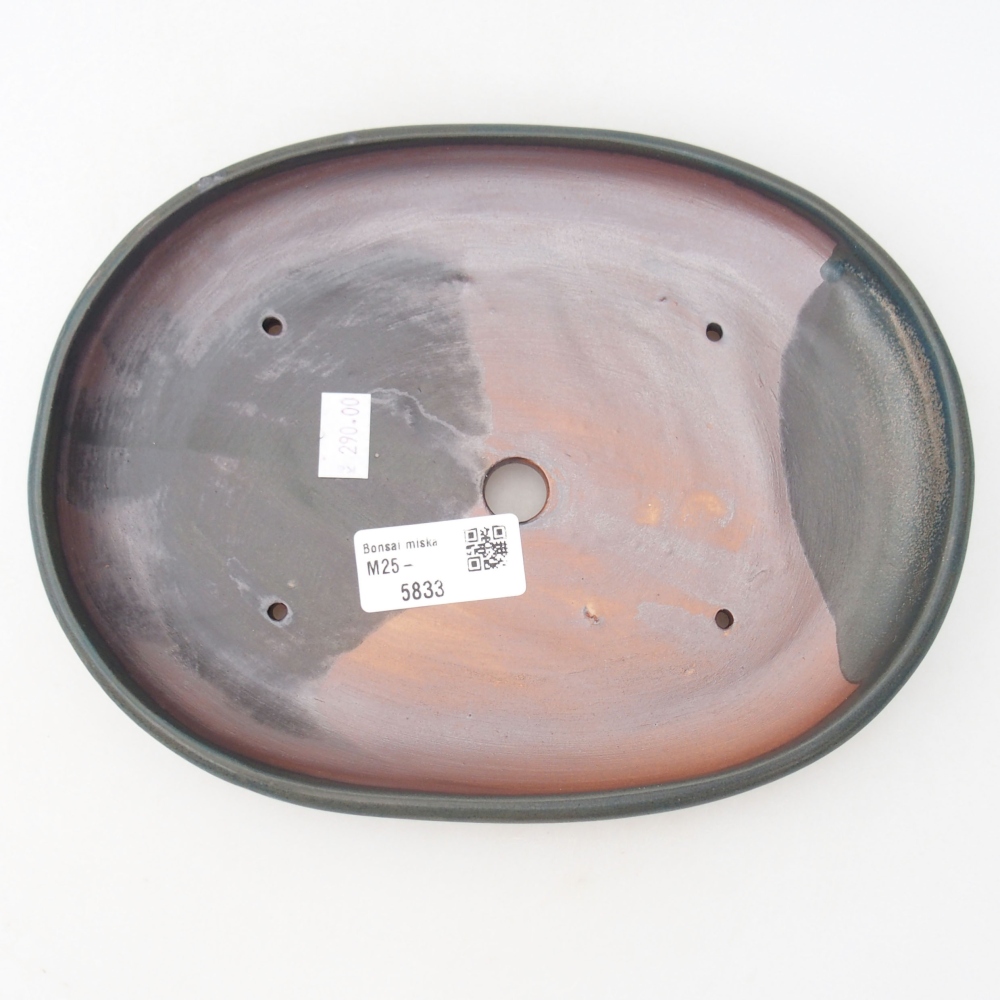 Bol à bonsaï en céramique 22 x 17 x 5 cm, vert