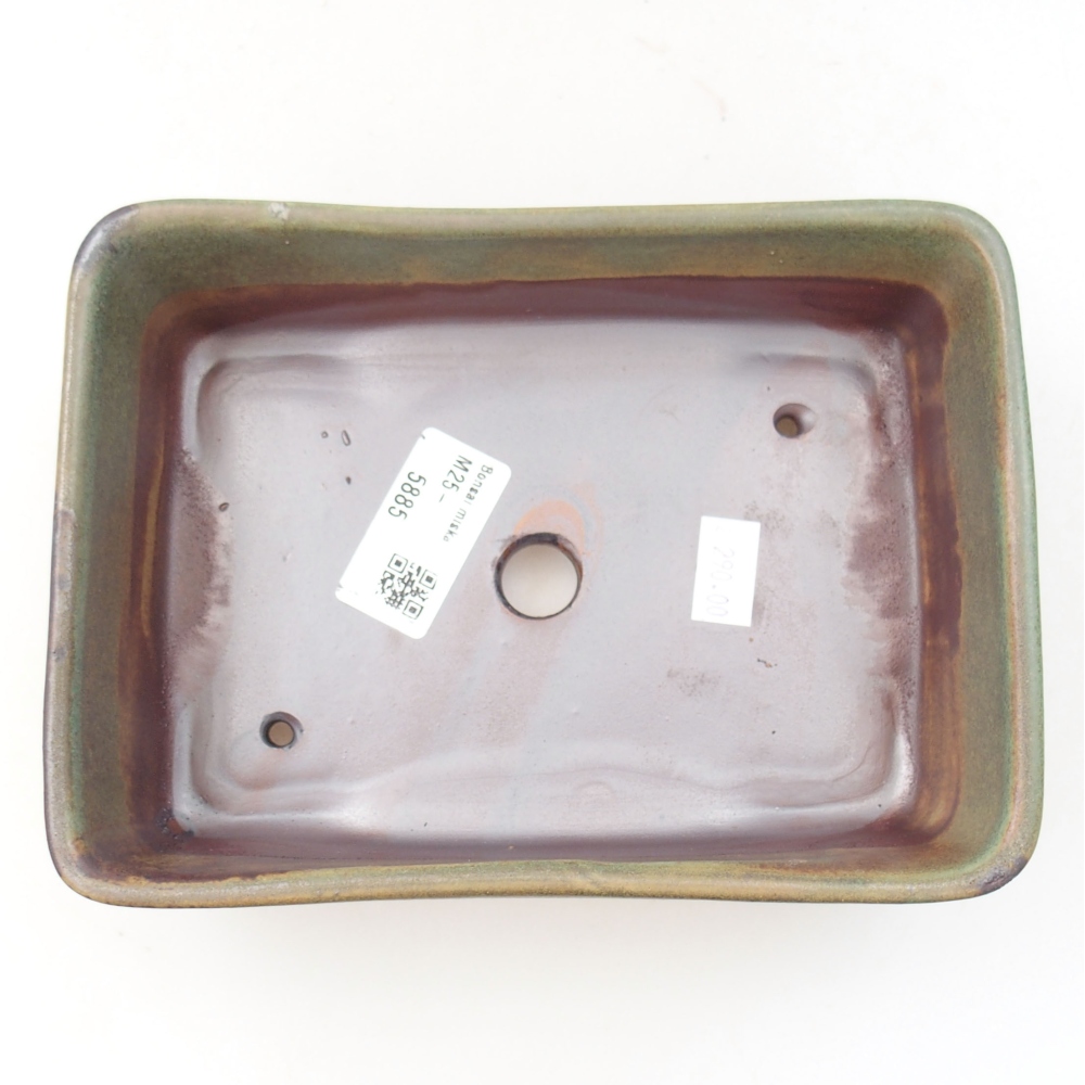 Bol à bonsaï en céramique 22 x 17 x 5 cm, vert