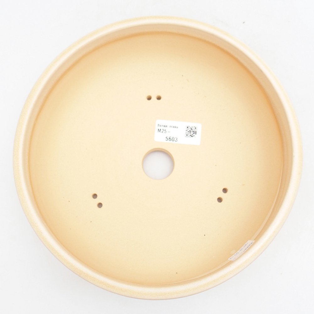 Bol à bonsaï en céramique 21,5 x 21,5 x 7 cm, couleur beige