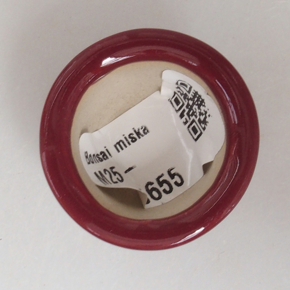 Mini bol bonsaï 3,5 x 3,5 x 2,5 cm, bordeaux