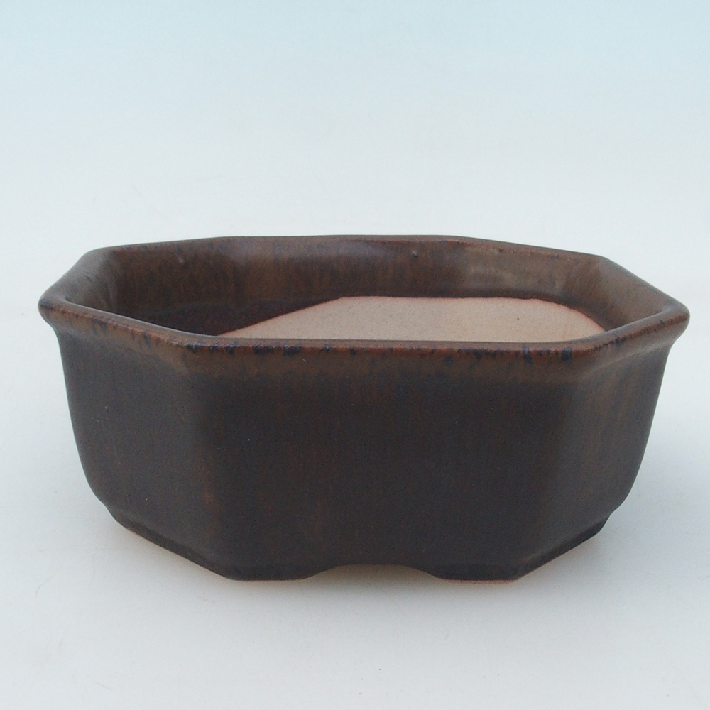 Coupe bonsaï H13 - 12,5 x 12,5 x 4,5 cm - bleu