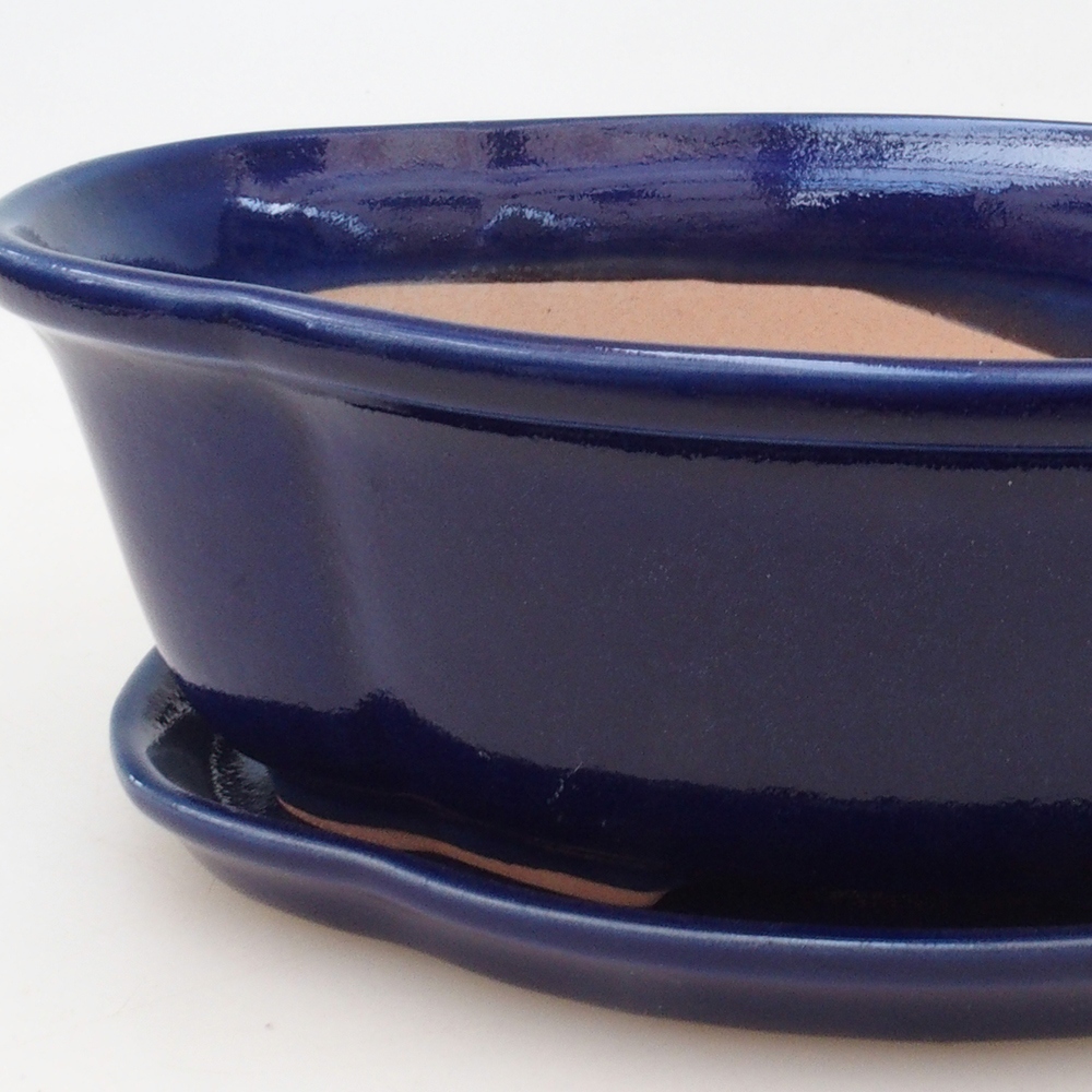 Bol Bonsaï + soucoupe H75 - bleu