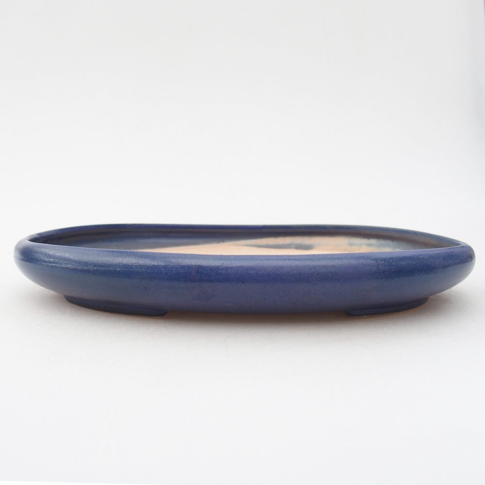 Bol à bonsaï en céramique 22,5 x 16,5 x 3 cm, couleur bleu