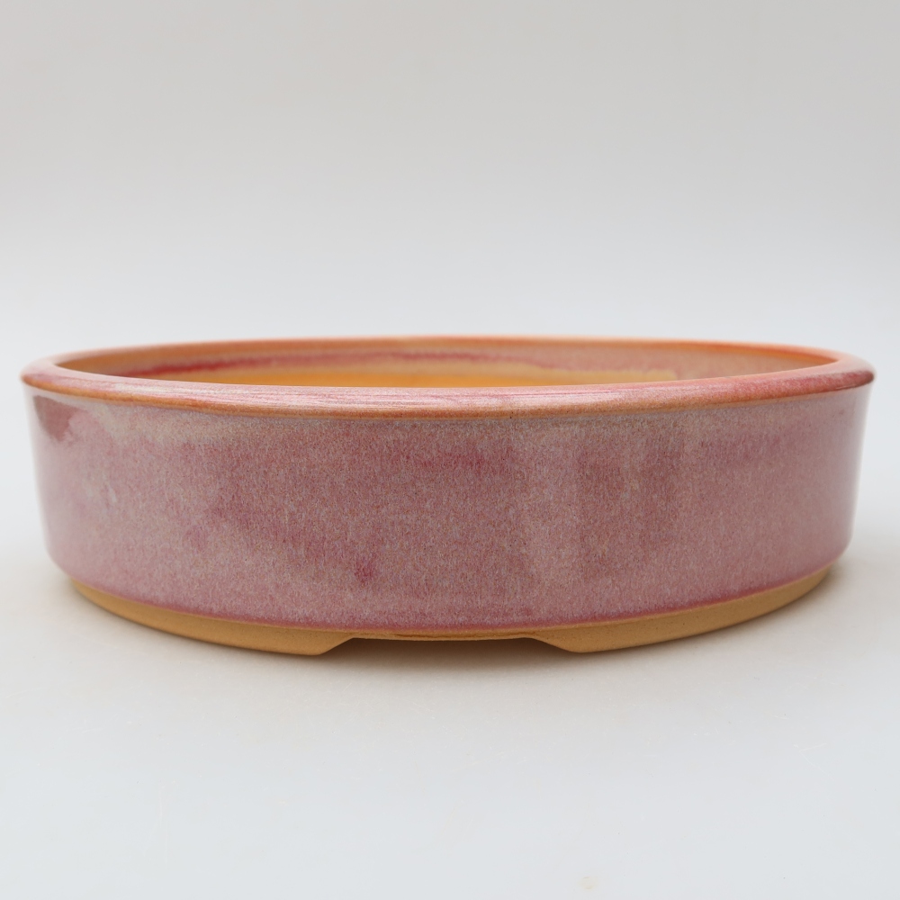 Pot à bonsaï en céramique 24 x 24 x 6 cm, couleur rose