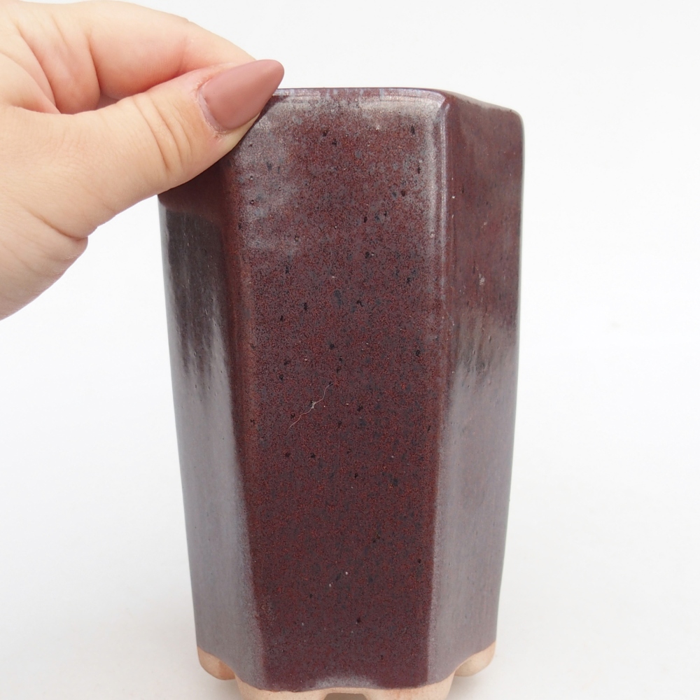 Bol à bonsaï en céramique 10 x 8,5 x 14,5 cm, bordeaux