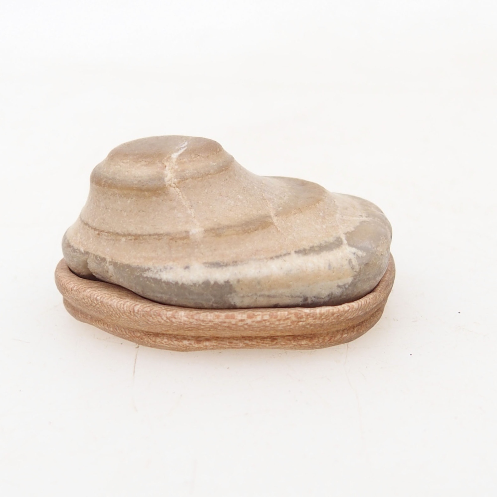 Suiseki - Pierre avec DAI (base en bois)