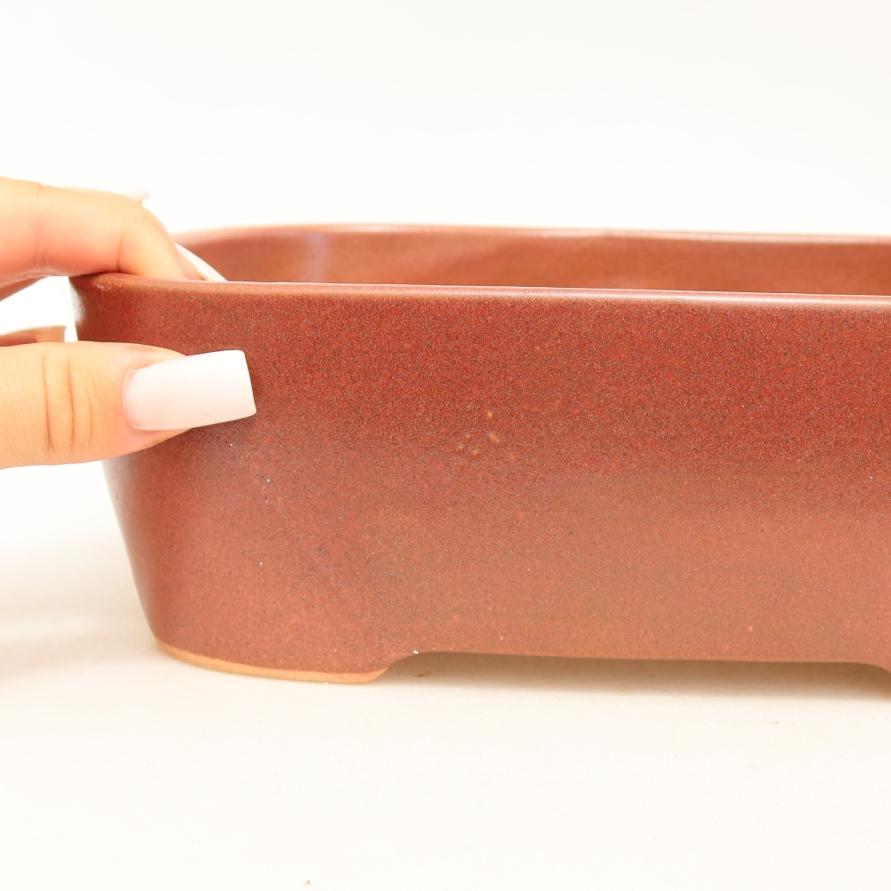 Pot à bonsaï en céramique 23 x 17,5 x 7,5 cm, couleur bordeaux