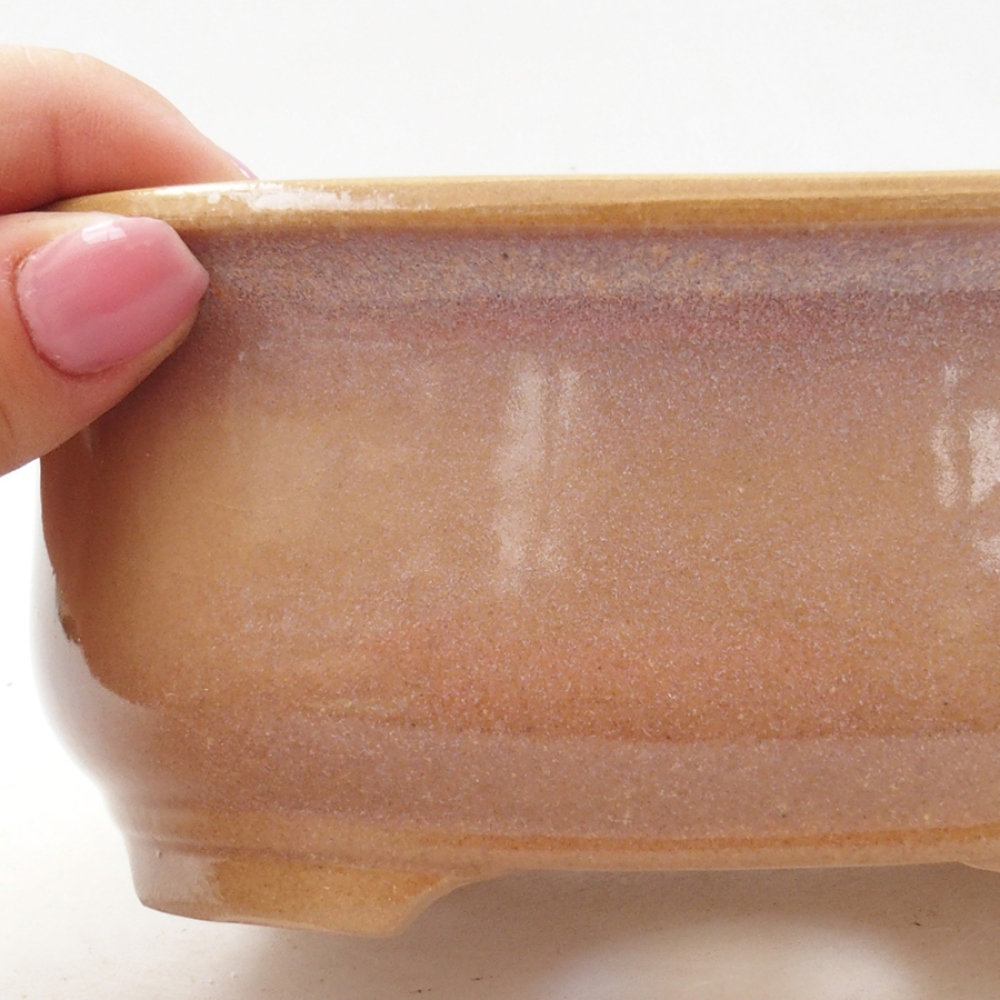 Bol à bonsaï en céramique 15,5 x 12 x 5,5 cm, couleur beige