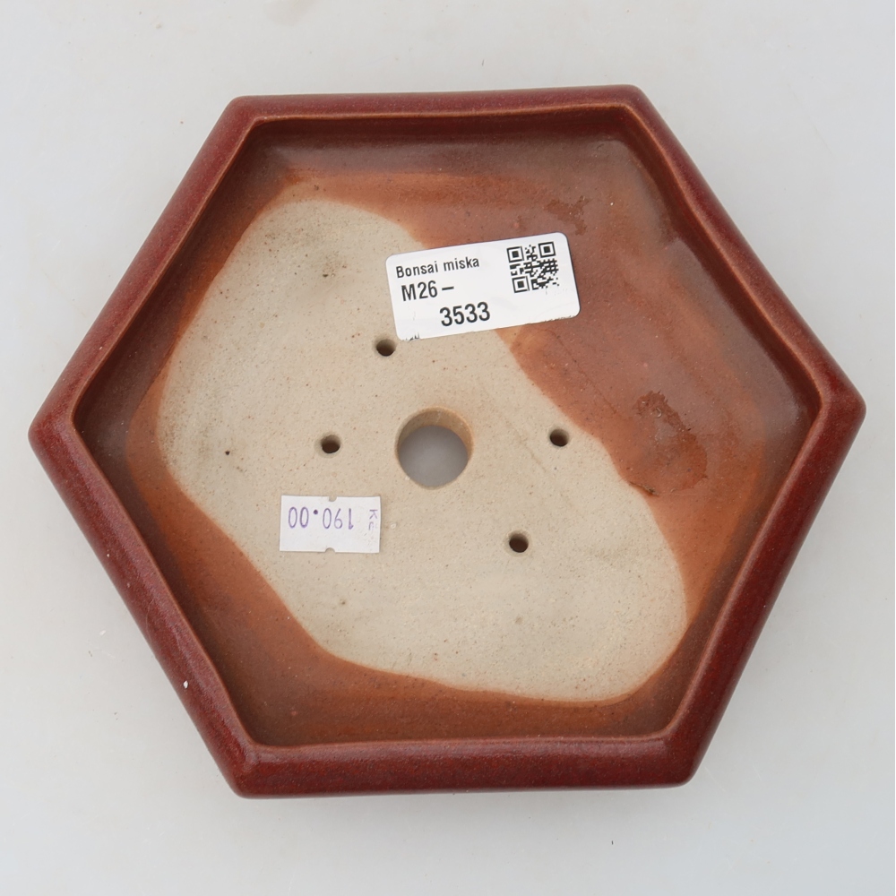 Pot à bonsaï en céramique 17 x 15 x 4 cm, couleur bordeaux