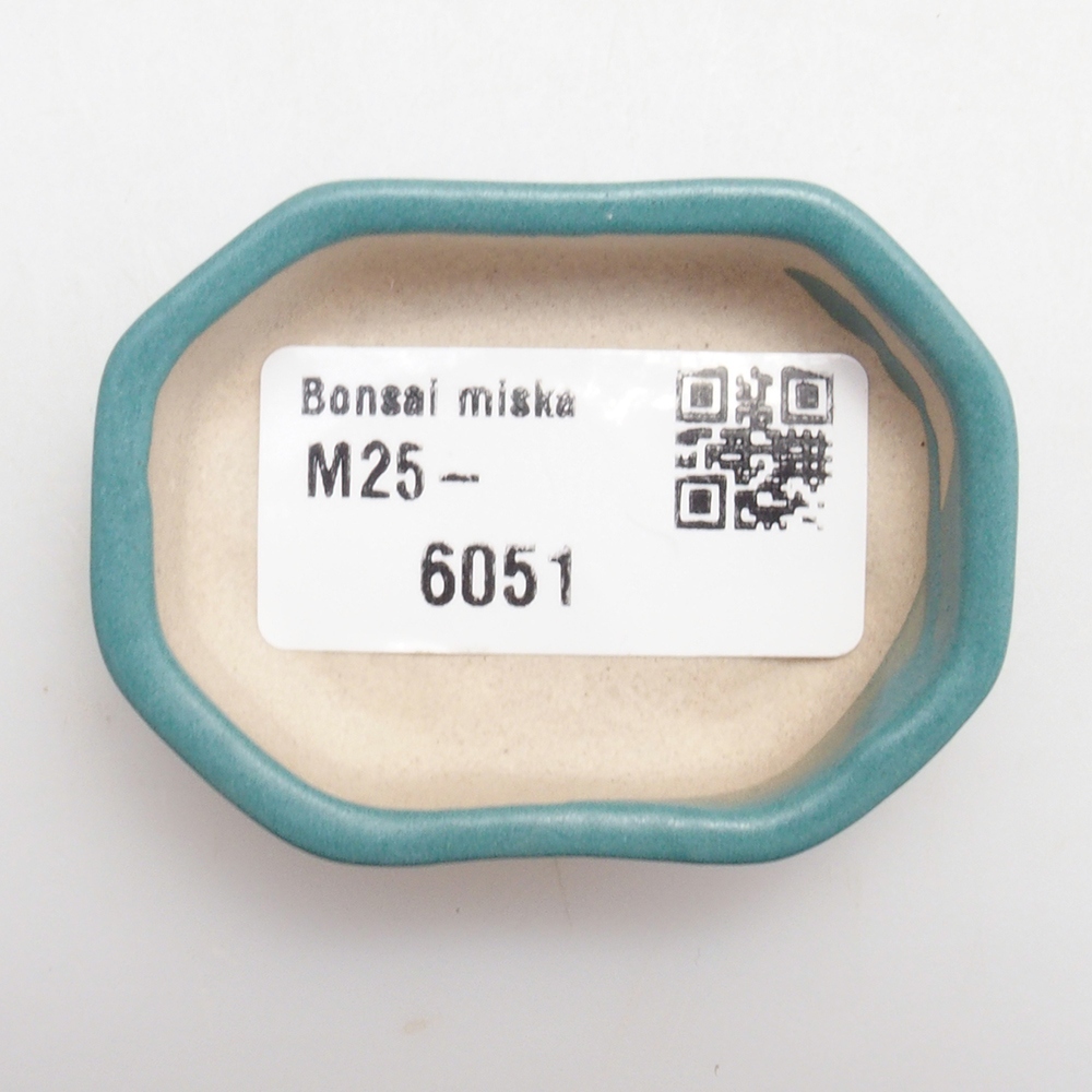 Bol à bonsaï en céramique 6,5 x 5,5 x 4 cm, couleur bleu