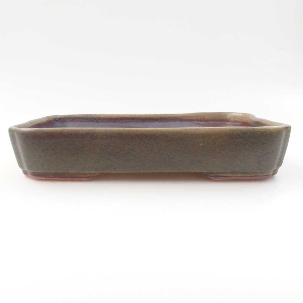 Bol à bonsaï en céramique 22 x 17 x 5 cm, vert