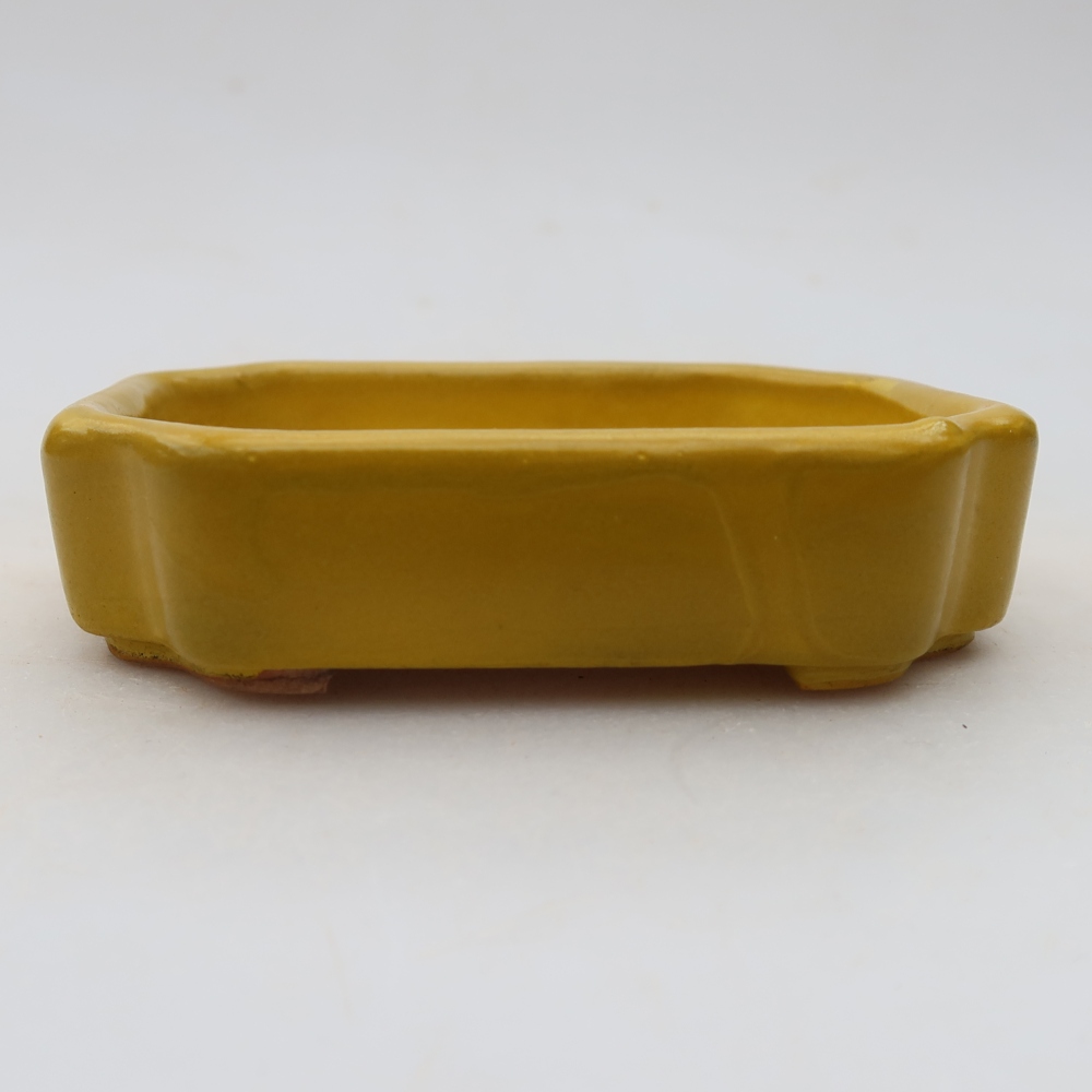 Pot à bonsaï en céramique 10 x 8 x 2,5 cm, couleur jaune