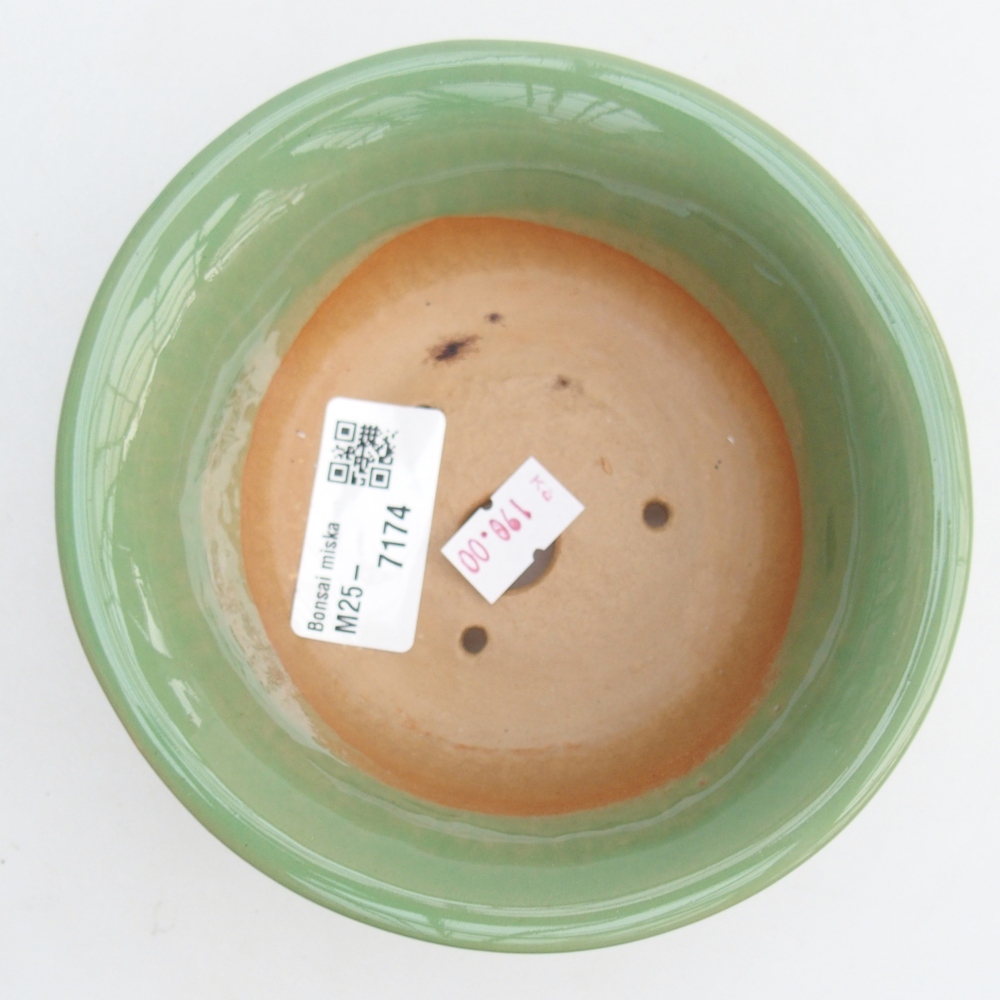 Bol à bonsaï en céramique 13 x 13 x 5 cm, vert