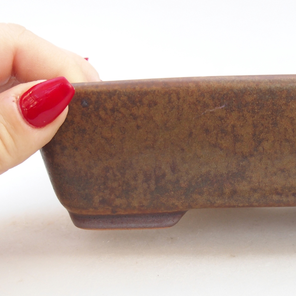 Bol à bonsaï en céramique 18,5 x 13,5 x 3,5 cm, brun