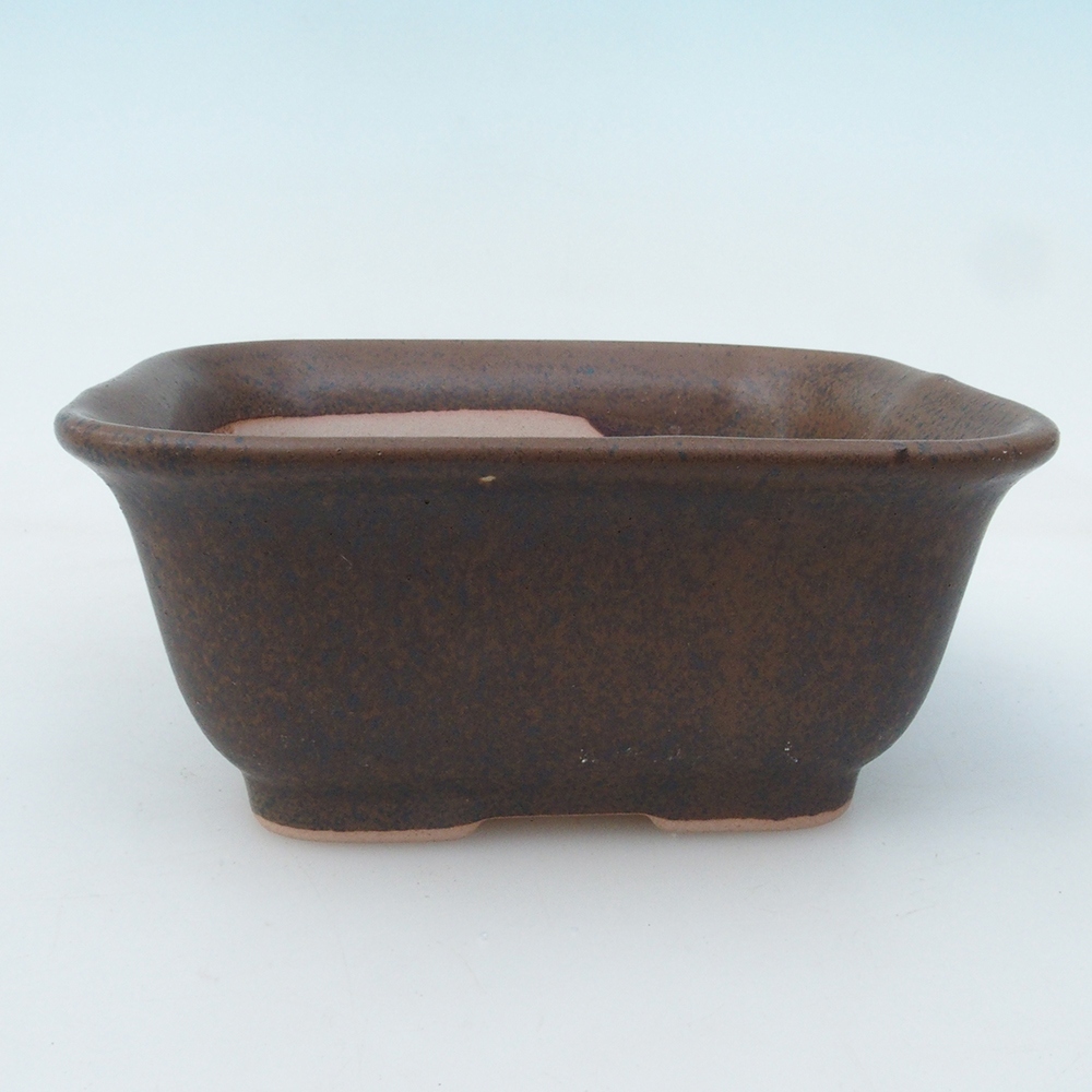 Bol à bonsaï H38 - 12 x 10 x 5,5 cm - brun