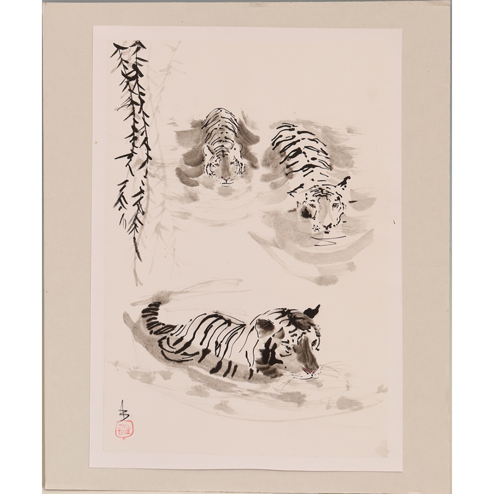 Calligraphie - Le bain des tigres