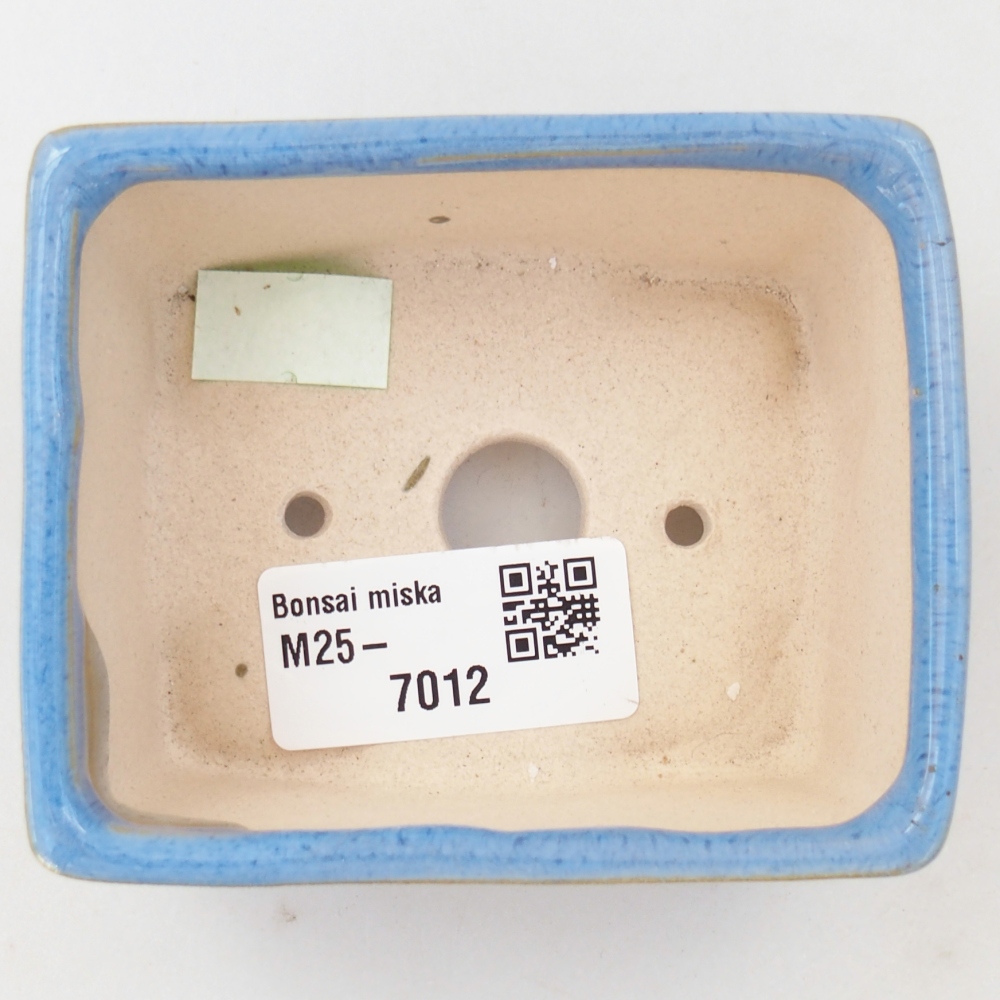 Bol à bonsaï en céramique 9 x 7 x 4 cm, couleur bleu